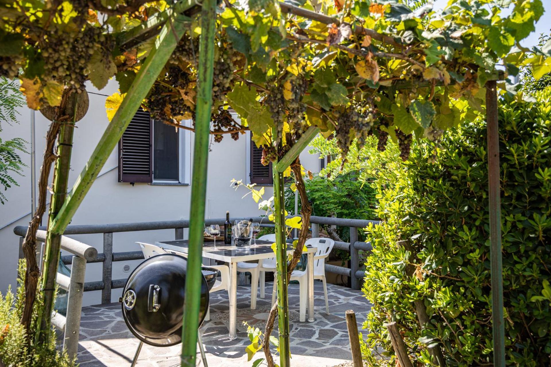 Sole Verde Green House Terricciola エクステリア 写真